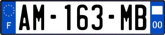 AM-163-MB