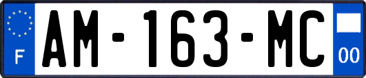 AM-163-MC