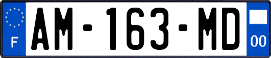 AM-163-MD