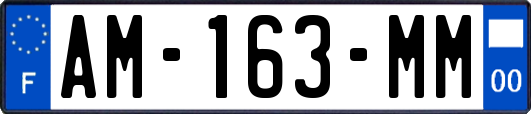 AM-163-MM