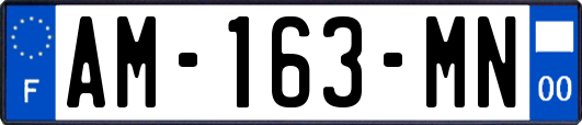 AM-163-MN