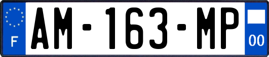 AM-163-MP