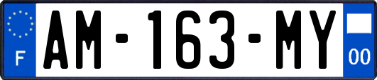 AM-163-MY