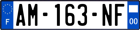 AM-163-NF