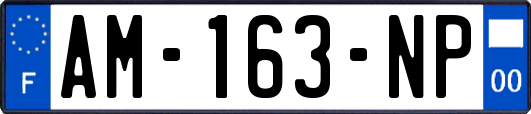 AM-163-NP