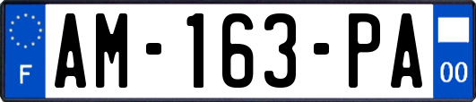 AM-163-PA