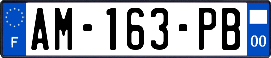 AM-163-PB