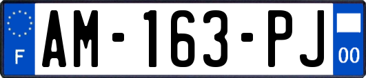 AM-163-PJ