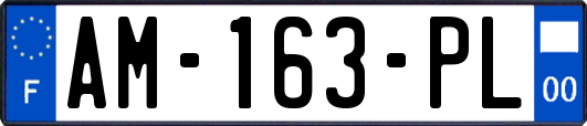 AM-163-PL