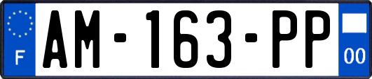 AM-163-PP
