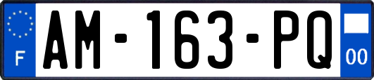 AM-163-PQ