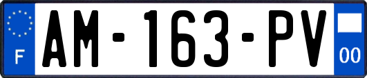 AM-163-PV