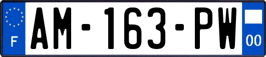 AM-163-PW