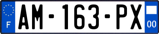 AM-163-PX