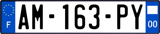 AM-163-PY