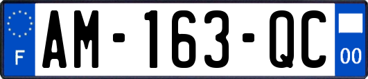 AM-163-QC