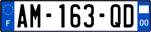 AM-163-QD