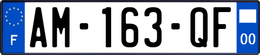 AM-163-QF