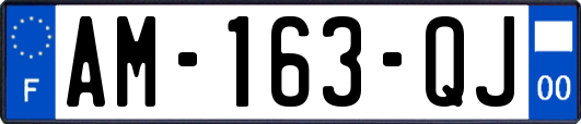 AM-163-QJ