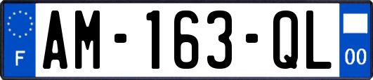AM-163-QL