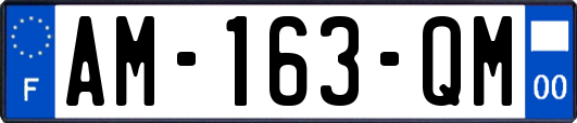 AM-163-QM