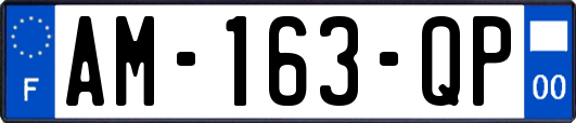 AM-163-QP