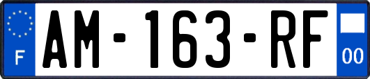AM-163-RF