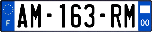 AM-163-RM