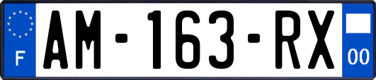 AM-163-RX