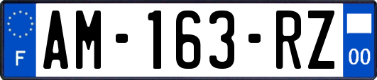 AM-163-RZ