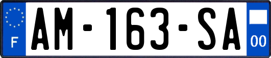 AM-163-SA