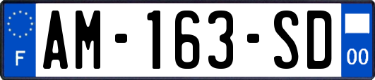 AM-163-SD