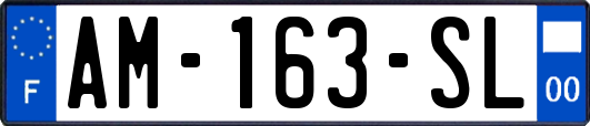 AM-163-SL