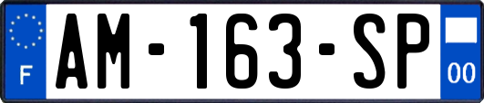AM-163-SP