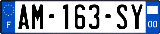 AM-163-SY