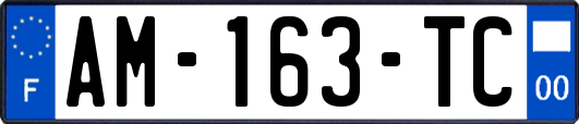 AM-163-TC