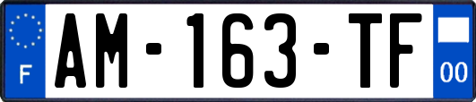 AM-163-TF