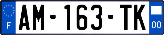 AM-163-TK