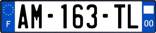 AM-163-TL