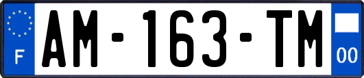 AM-163-TM