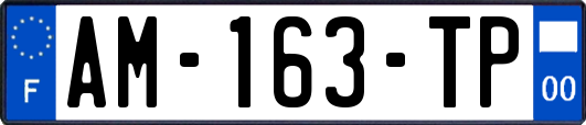 AM-163-TP