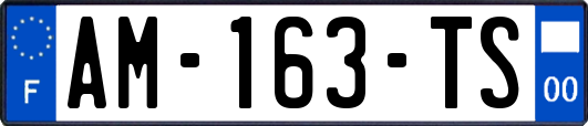 AM-163-TS