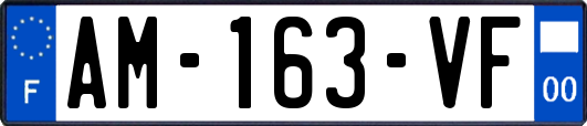 AM-163-VF