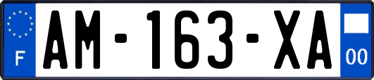 AM-163-XA