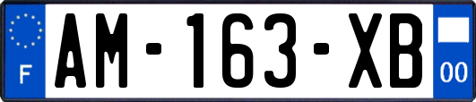 AM-163-XB