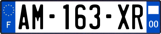 AM-163-XR