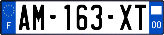 AM-163-XT