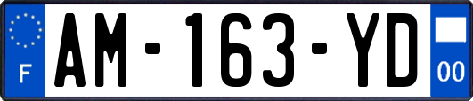 AM-163-YD