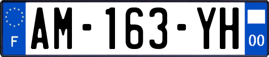 AM-163-YH