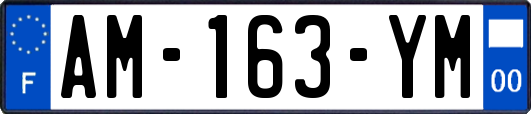 AM-163-YM